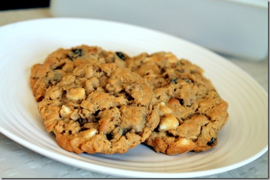 Loaded Oatmeal Peanut Butter Cookies (3)
