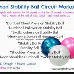 stability ball circuit gnc1