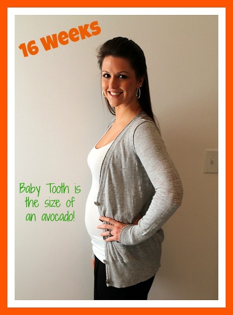 16 Weeks Pregnant Baby Bump - Sweet Tooth Sweet Life