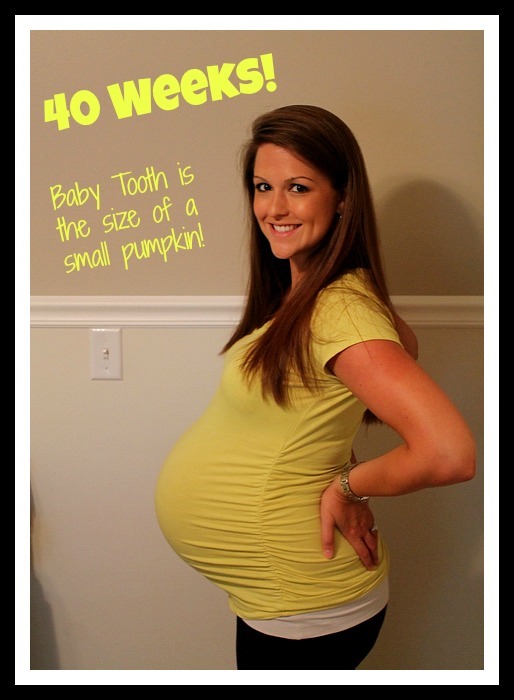 photo of 30 week fetus