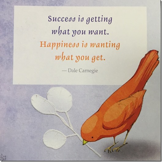 success is getting what you want