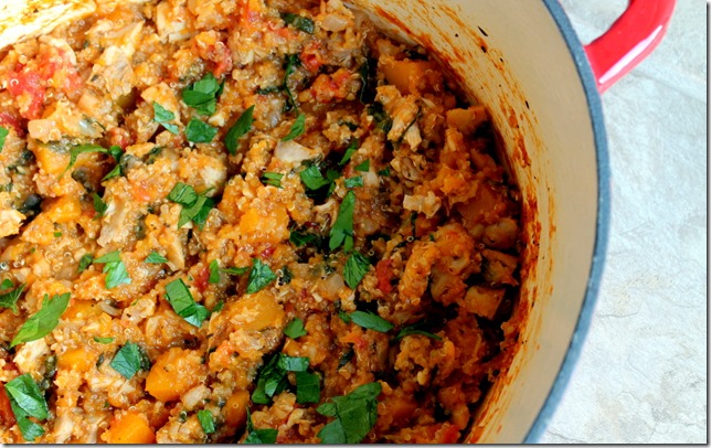 Chicken Quinoa and Butternut Squash Stew