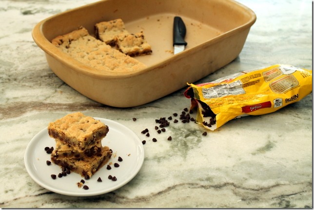 Best Ever Chocolate Chip Cookie Bars